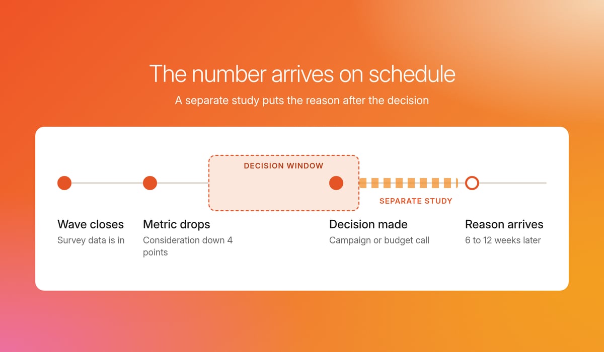 Timeline where a separate study delivers the reason 6 to 12 weeks after the decision window closes, showing the explanation gap