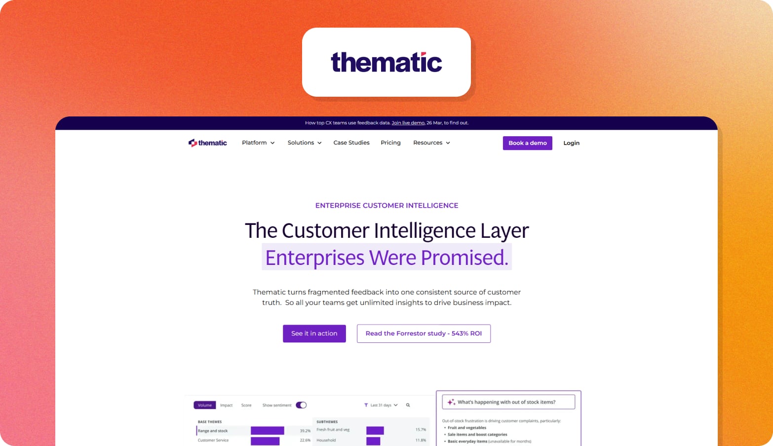 Thematic logo above a screenshot of the Thematic homepage with the headline The Customer Intelligence Layer Enterprises Were Promised