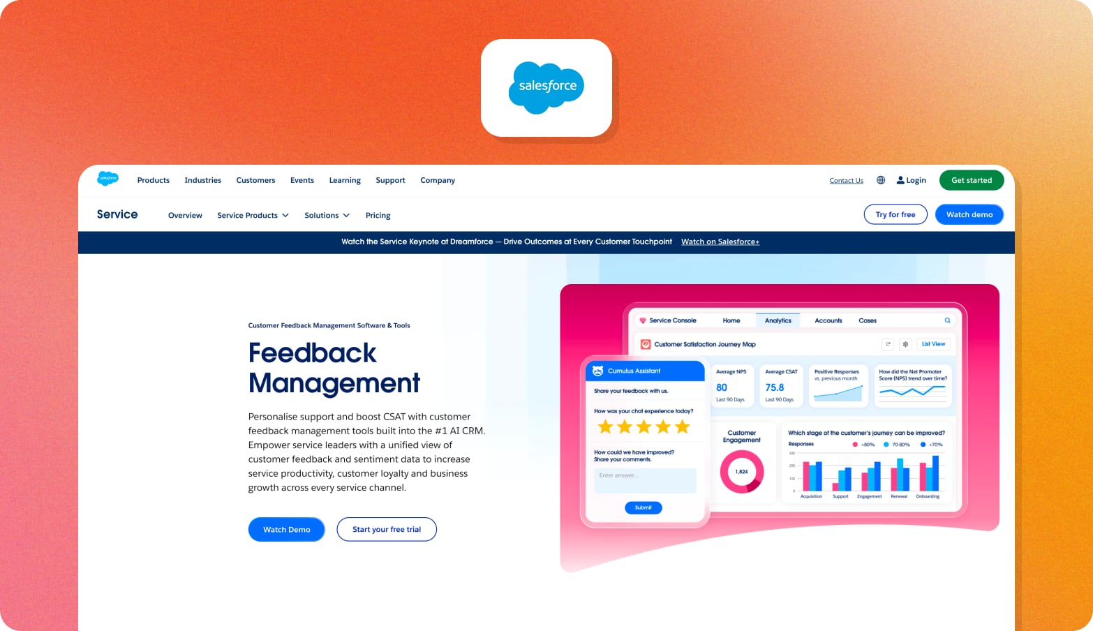 Salesforce logo above a screenshot of the Salesforce Service Cloud Feedback Management page with a customer feedback dashboard